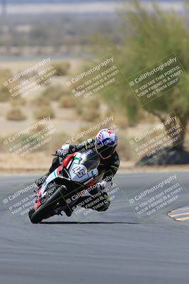 media/May-14-2023-SoCal Trackdays (Sun) [[024eb53b40]]/Turn 5 Tree of Life (1125am)/